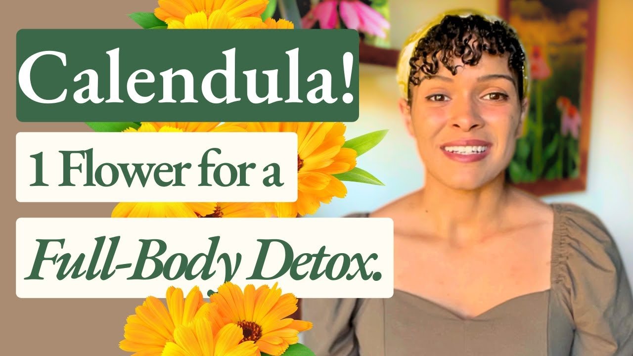 Calendula!  Health Benefits  Medicinal Uses