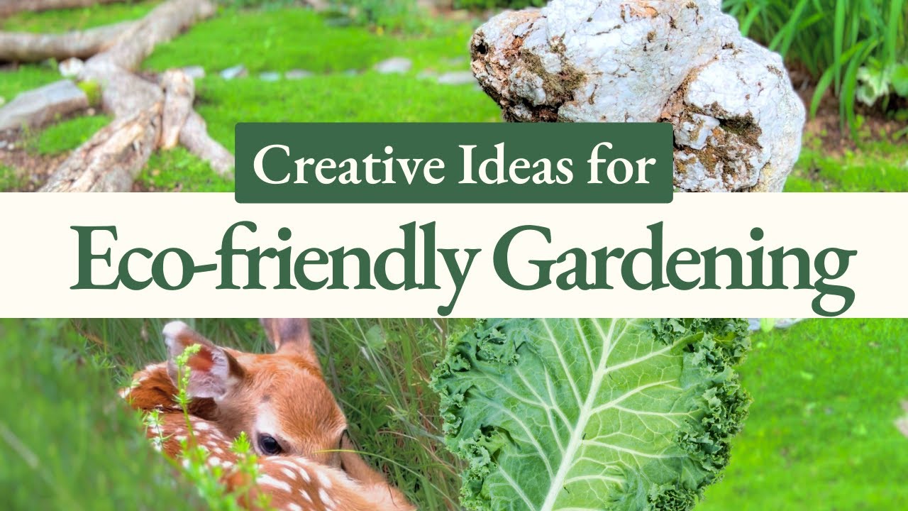 Creative Gardening Ideas to Promote Health and Ecosystems