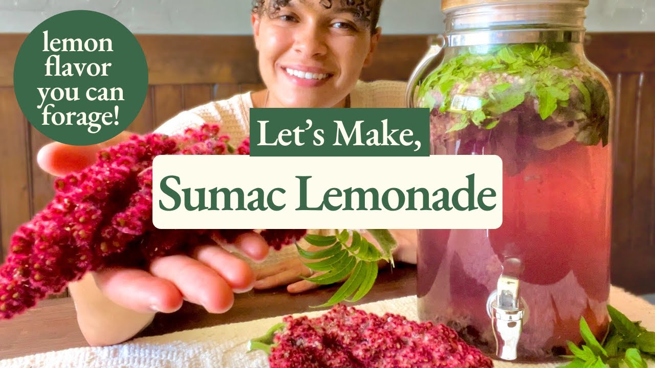 How to Make Sumac Lemonade: Foraging Sumac Spice