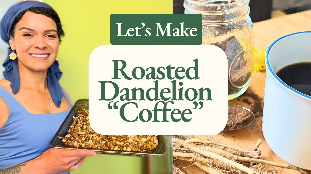 Roasted Dandelion Coffee! + Health Benefits!