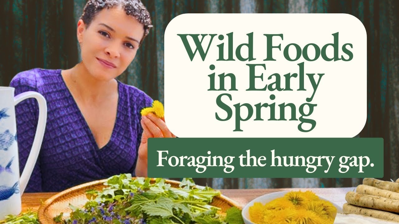 Wild Edible Plants in Early Spring: Foraging the Hungry Gap