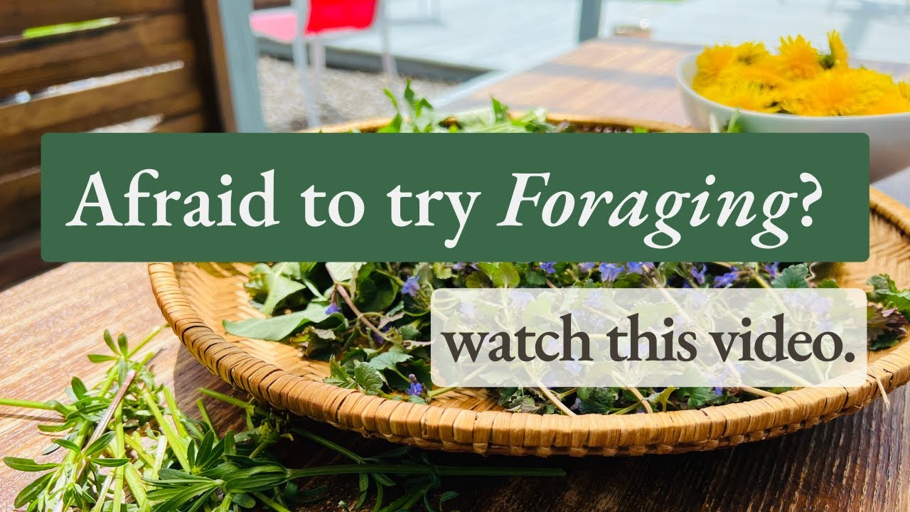 Safely Foraging Wild, Edible Plants