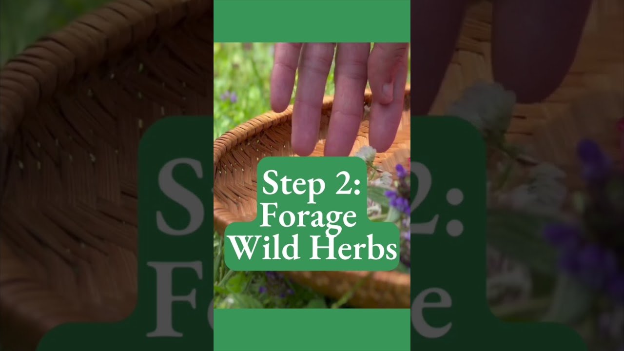 Herbalism 101 – Make Your Own Foraged Teas #herbalism #sustainability #medicinalplants #shorts